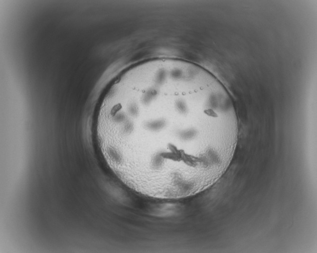 X0000111370151200907311040