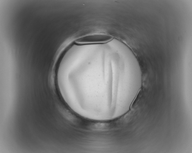 X0000111370152200907311040