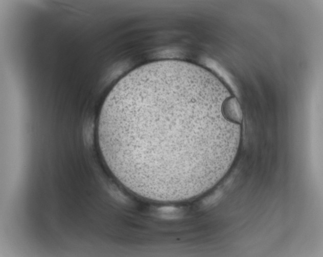 X0000111370153200907311040