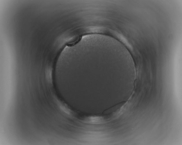 X0000111370154200907311040