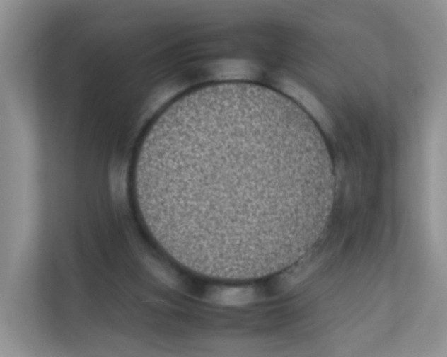 X0000111370155200907311040