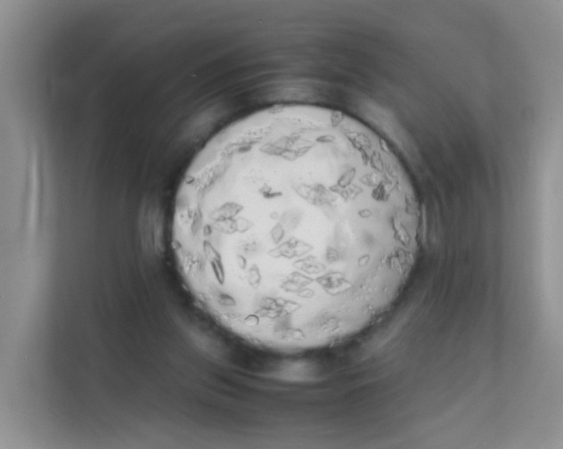 X0000111370157200907311040