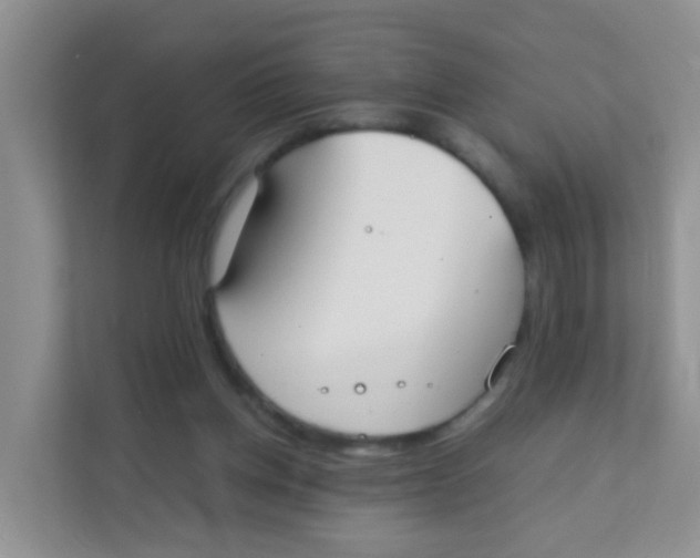 X0000111370158200907311040