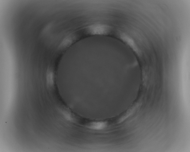 X0000111370161200907311040