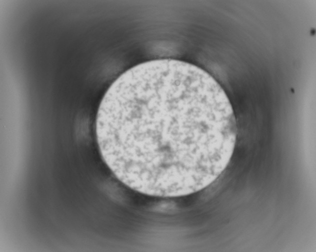 X0000111370162200907311040