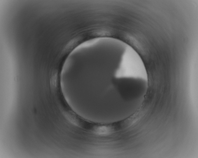 X0000111370163200907311040