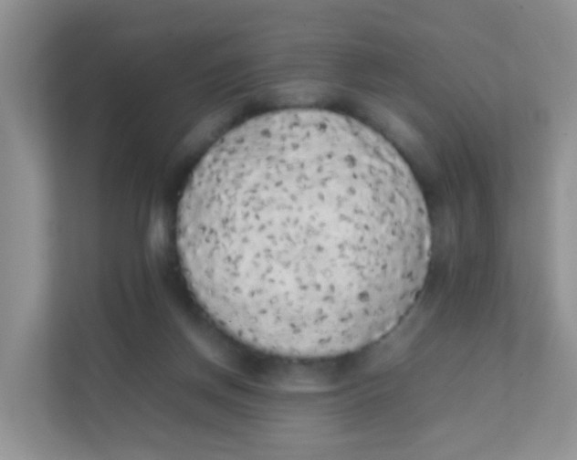 X0000111370166200907311040