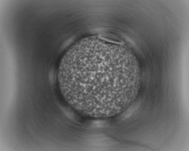 X0000111370168200907311040