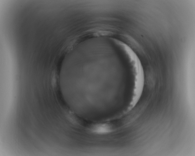 X0000111370169200907311040