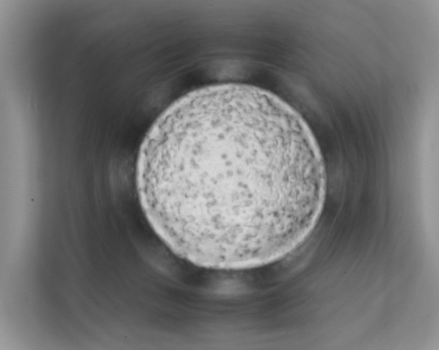 X0000111370175200907311040