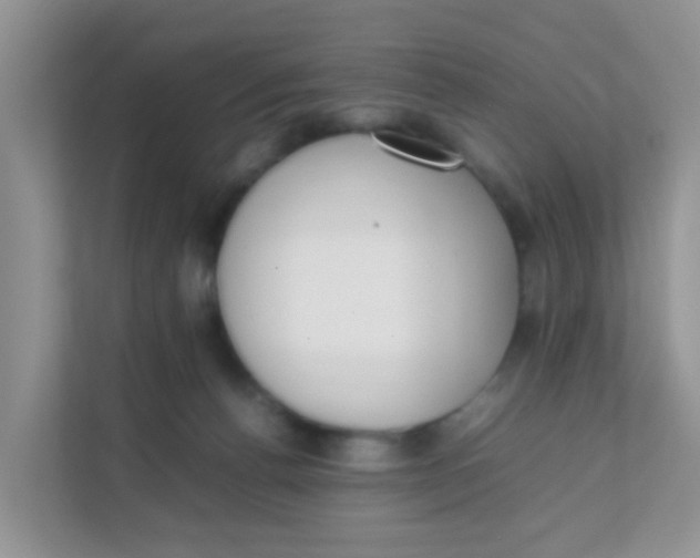 X0000111370176200907311040