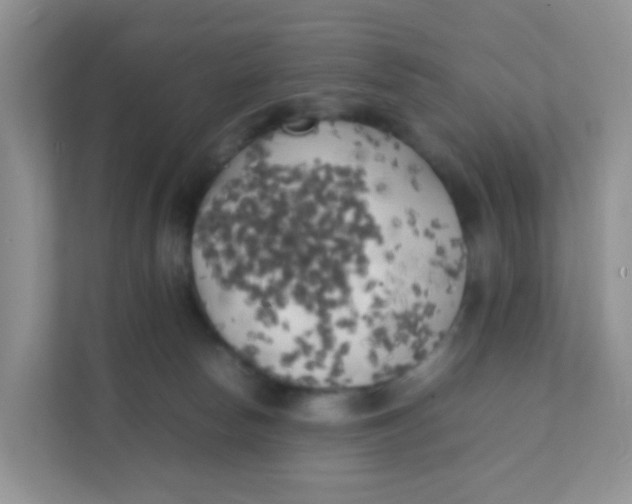 X0000111370178200907311040