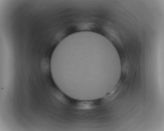 X0000111370179200907311040
