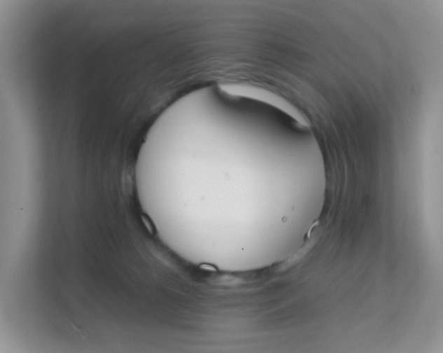 X0000111370180200907311040