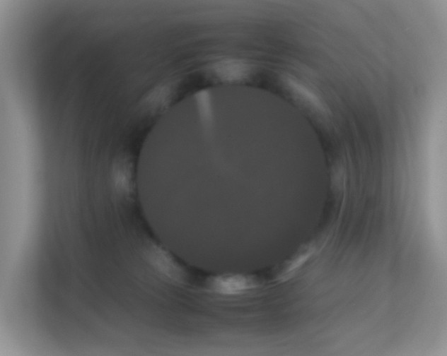 X0000111370181200907311040