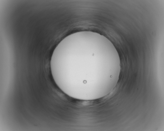 X0000111370184200907311040