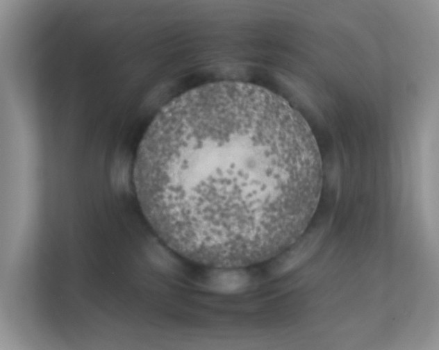 X0000111370185200907311040