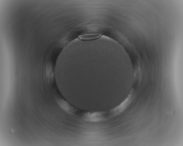 X0000111370186200907311040