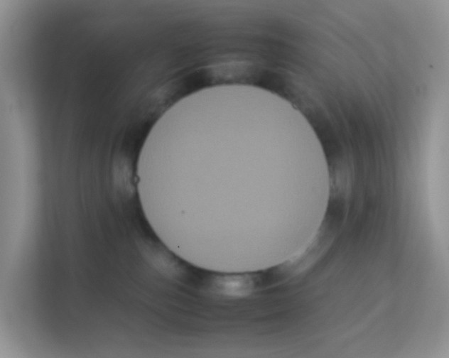 X0000111370187200907311040