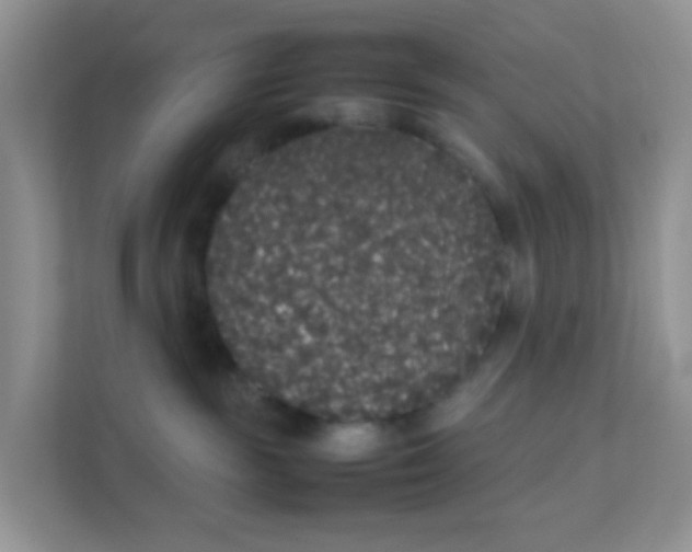 X0000111370189200907311040