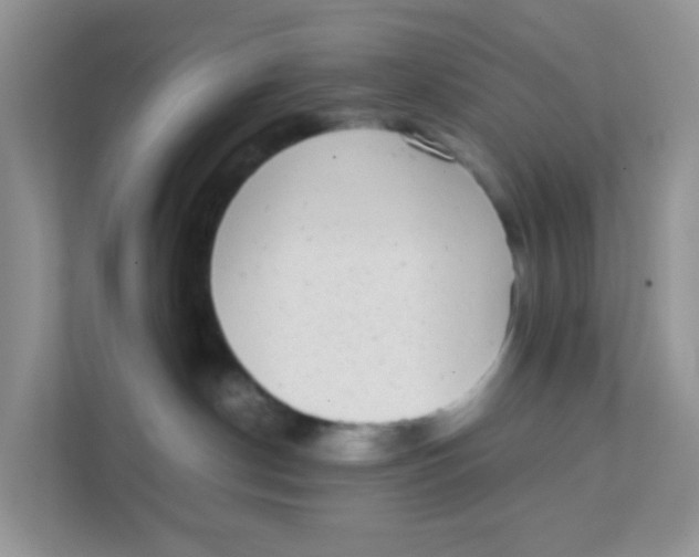 X0000111370190200907311040