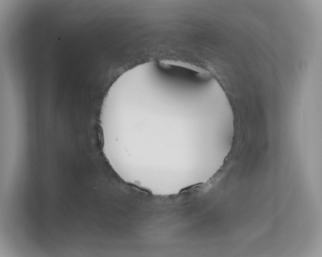 X0000111370192200907311041