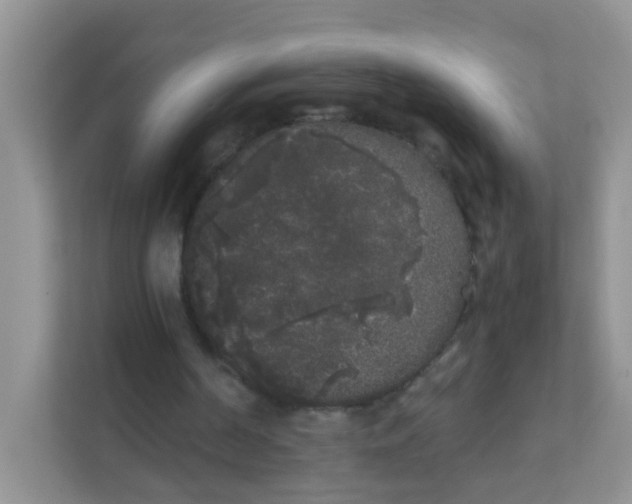 X0000111370194200907311040