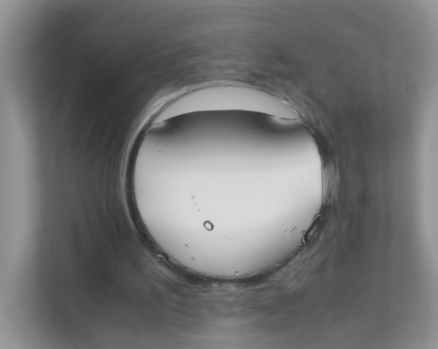 X0000111370195200907311040