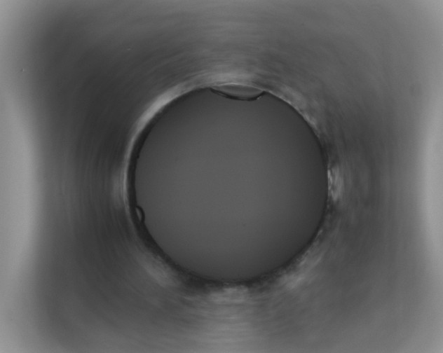 X0000111370196200907311040