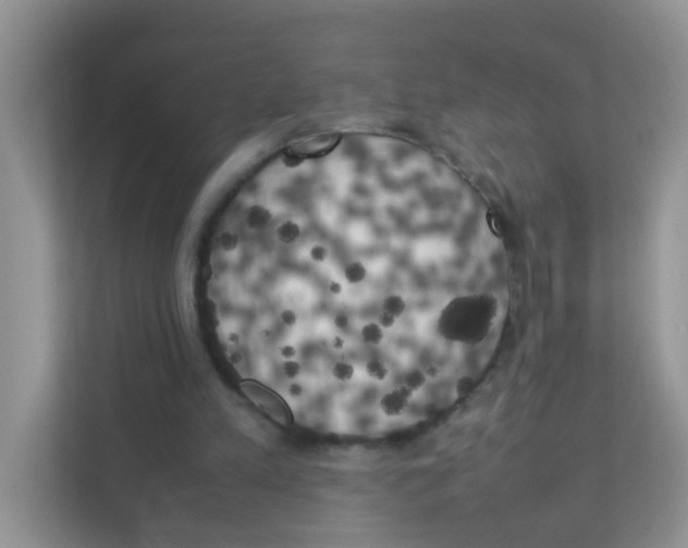 X0000111370197200907311040