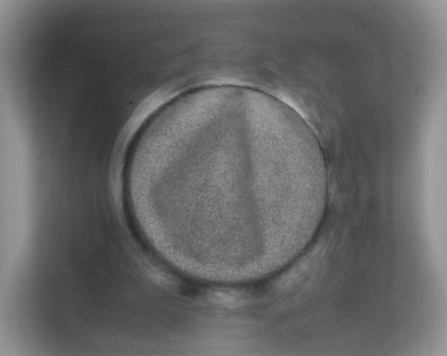 X0000111370199200907311040