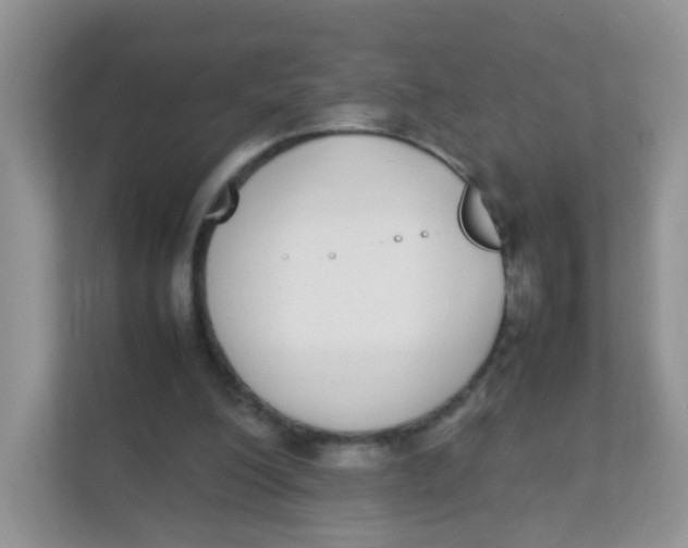 X0000111370200200907311040