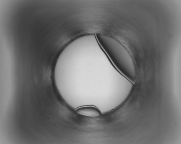 X0000111370201200907311040