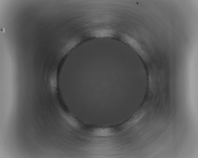 X0000111370202200907311040