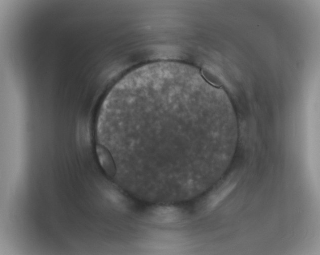 X0000111370203200907311040
