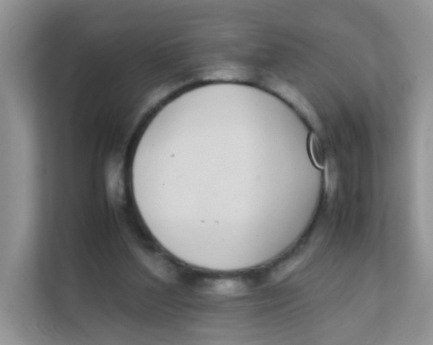 X0000111370204200907311040