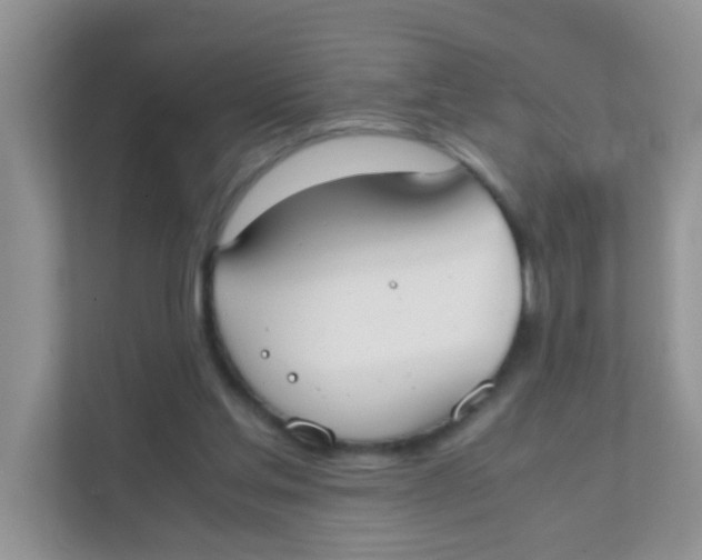 X0000111370205200907311040