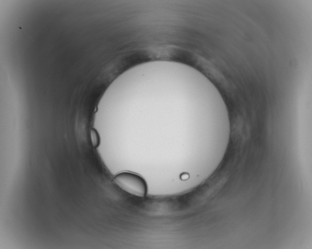 X0000111370209200907311039
