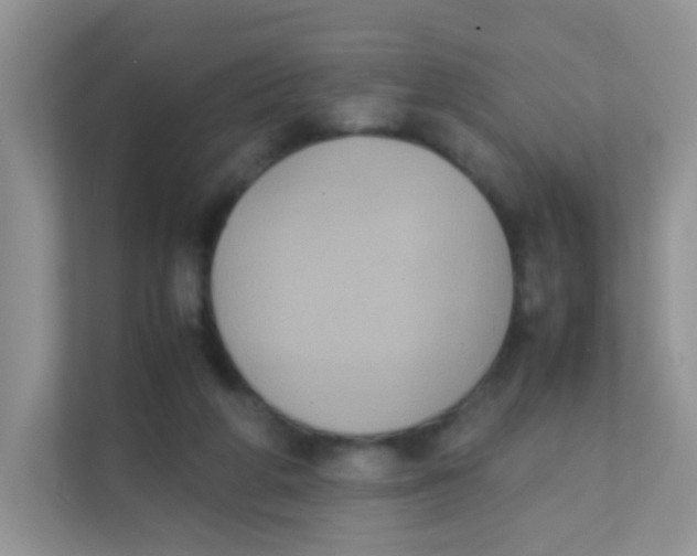 X0000111370210200907311039