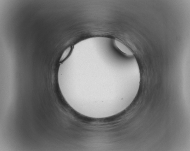 X0000111370211200907311039