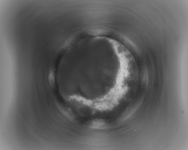 X0000111370214200907311039