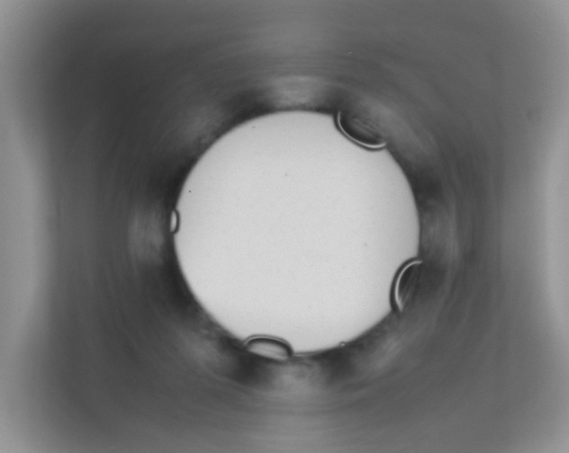 X0000111370215200907311039