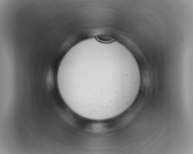 X0000111370216200907311039