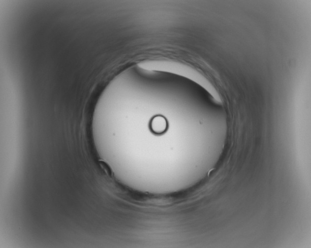 X0000111370217200907311039