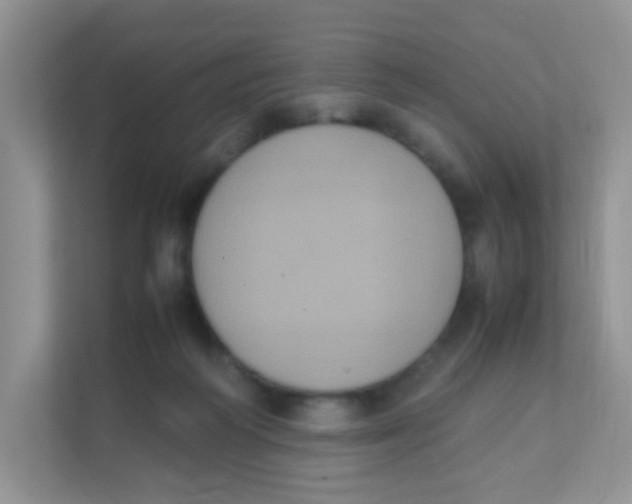 X0000111370218200907311039