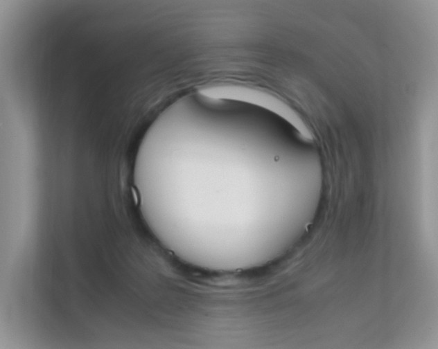 X0000111370219200907311039
