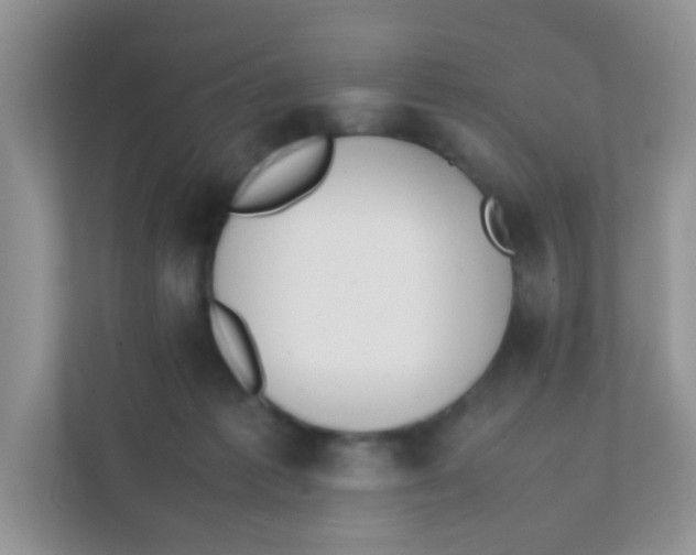 X0000111370221200907311039