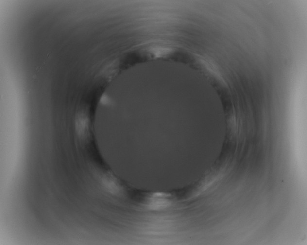 X0000111370222200907311039
