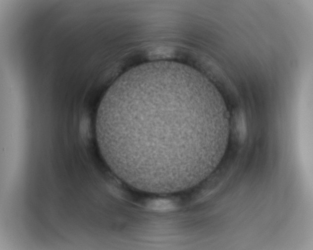 X0000111370224200907311039