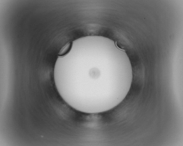 X0000111370225200907311039